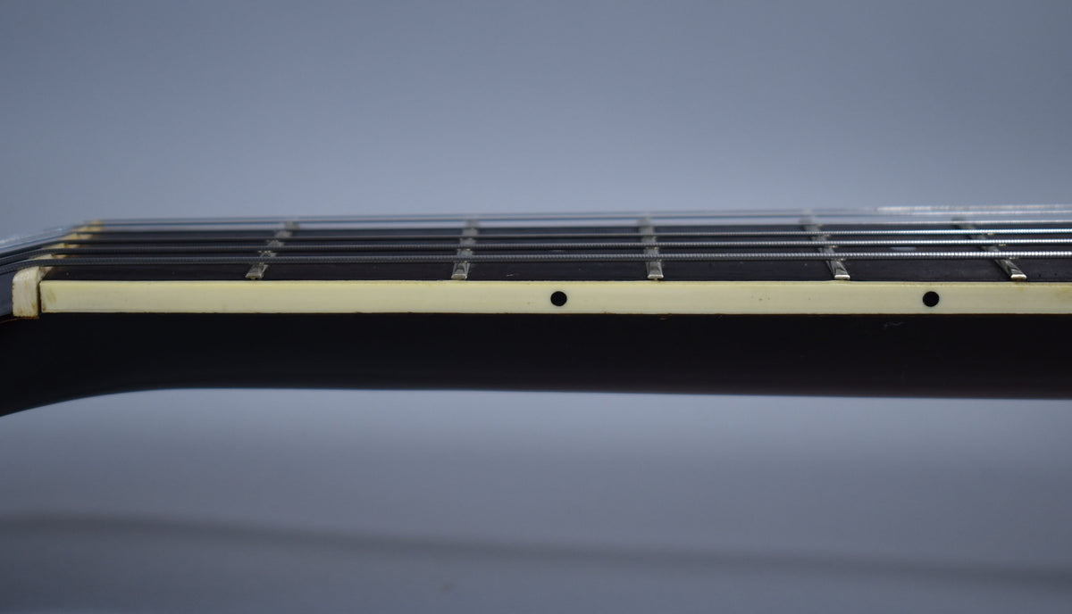 Close-up of the guitar's dark fretboard and frets from the side, showing cream binding with two black dot markers.