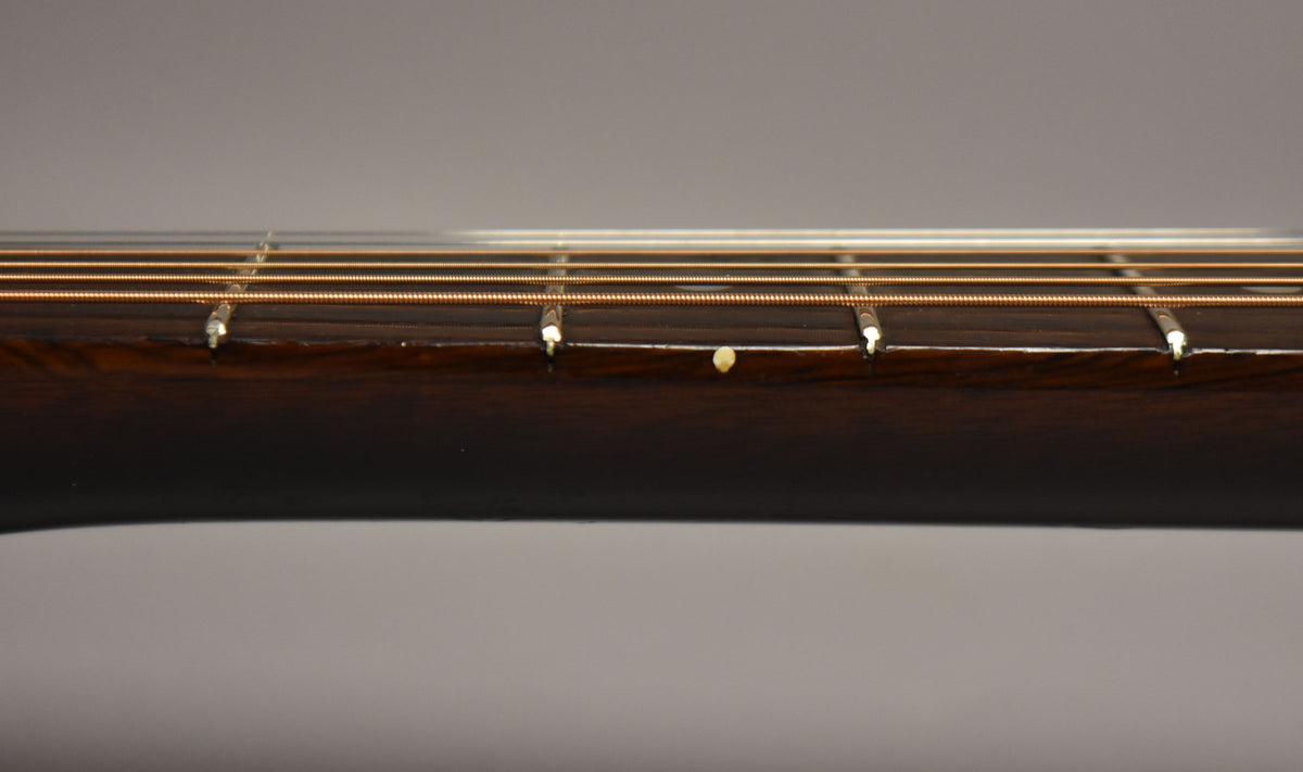 Close-up of the dark brown fretboard and frets, with a single light-colored dot inlay visible between the 7th and 9th frets.