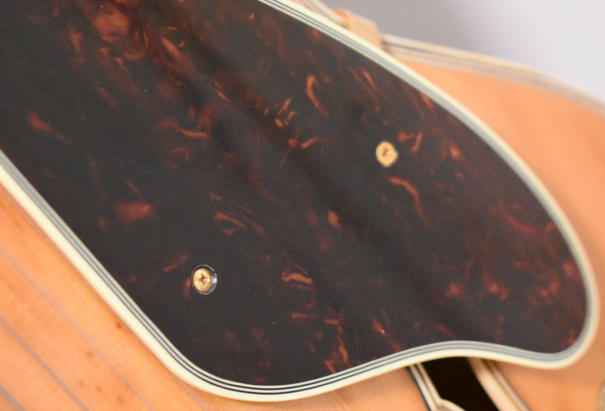 Close-up of the guitar's dark tortoiseshell pickguard with two gold screws, showing light wear and a cream binding with pinstripes.