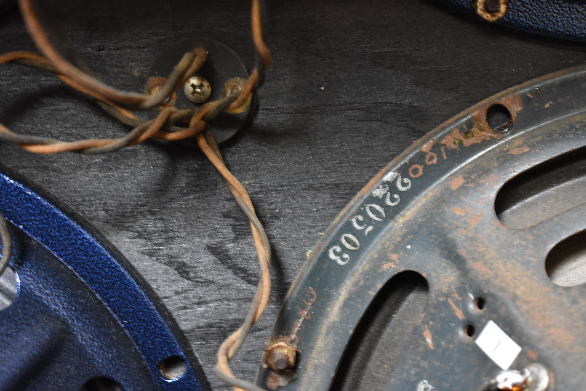 Close-up of the amp's interior, showing a dark blue speaker frame with visible rust and a white serial number, plus brown wiring.
