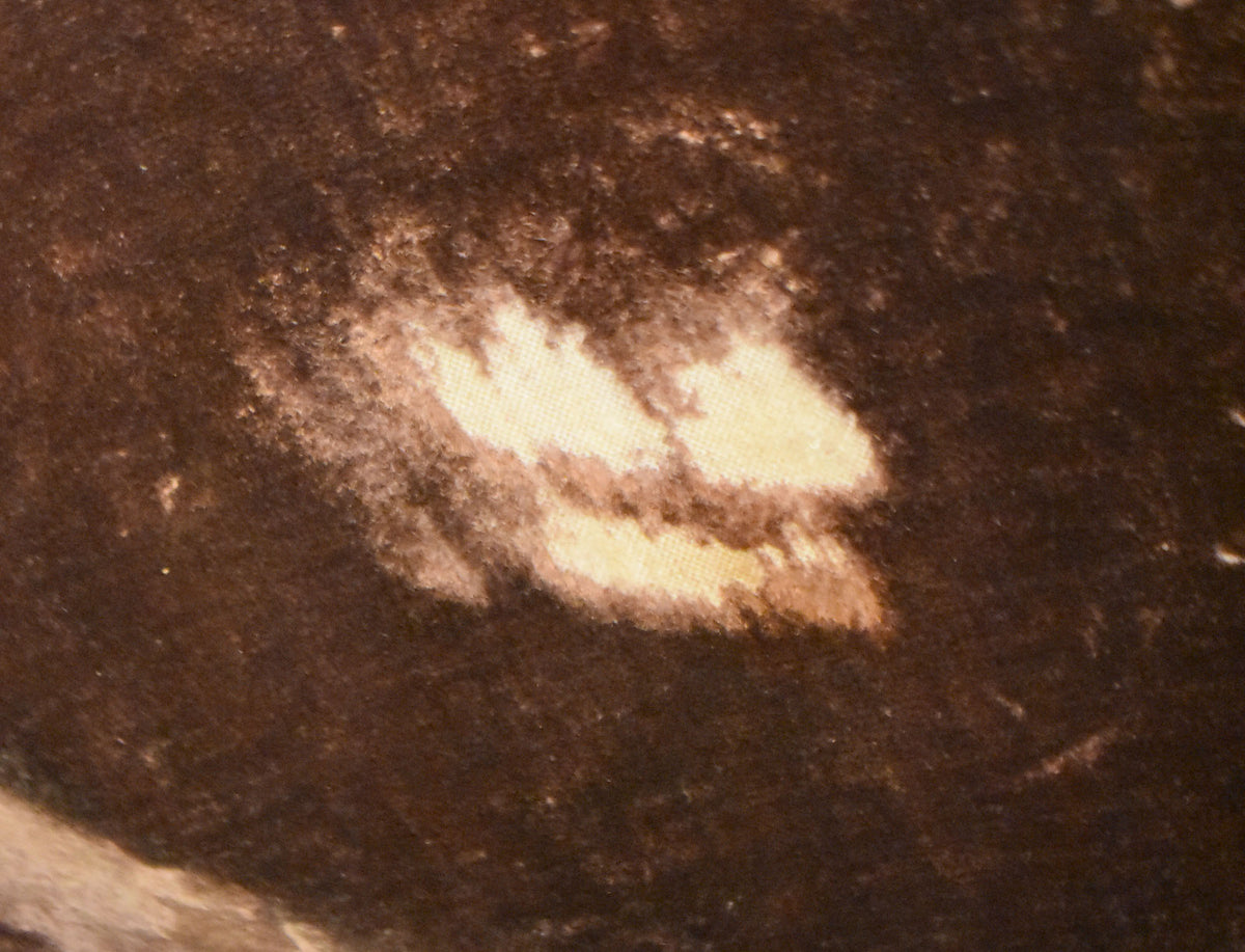 Close-up of the case's dark brown faux alligator exterior, showing a large area of worn, faded, and discolored material.