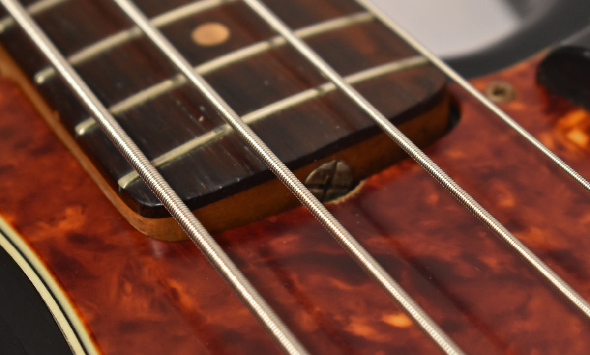 Close-up of the bass's dark rosewood fretboard with dot inlays, four strings, and a tortoise shell pickguard with a visible screw.