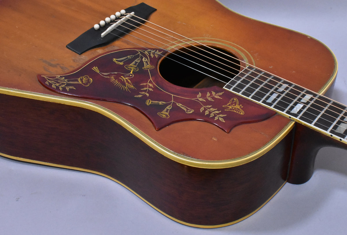 The sunburst acoustic guitar's body is angled, showing the dark red pickguard with gold hummingbird and floral design, and the fretboard.
