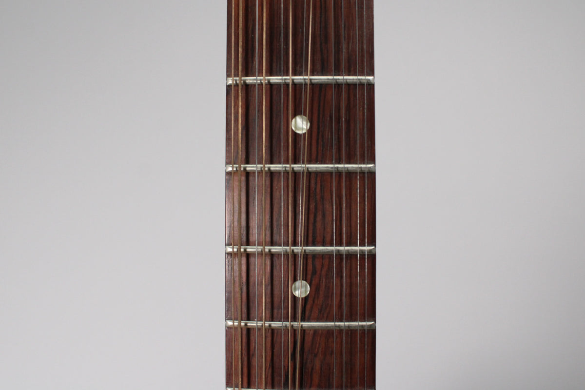 Close-up of the dark brown fretboard with 12 strings, silver frets, and two mother-of-pearl dot inlays.