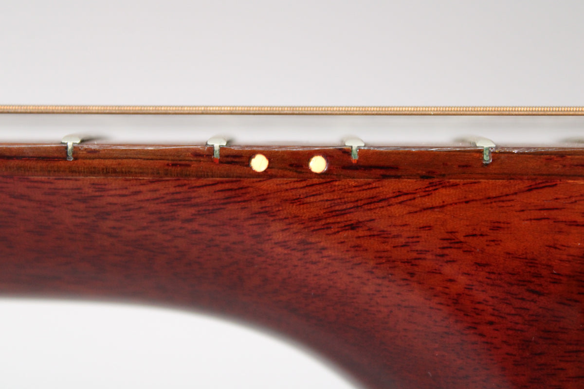 Close-up of the guitar's dark reddish-brown mahogany neck, showing two round, light-colored fret markers and light-colored frets.