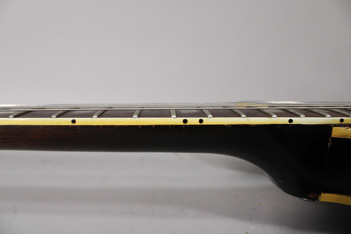 The guitar's dark neck and fretboard are shown from the side, with cream binding and small black dot inlays on the upper edge.