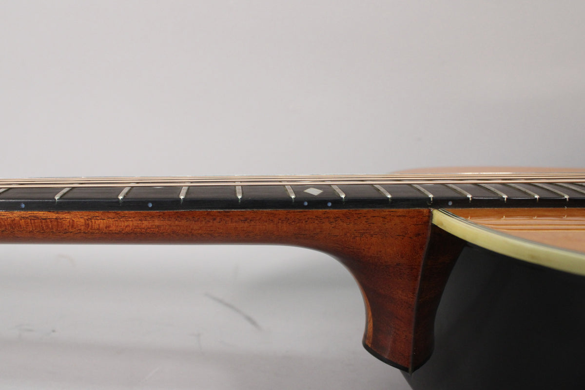 Close-up of the guitar's neck and fretboard, showing the dark wood, frets, strings, and a diamond-shaped inlay.