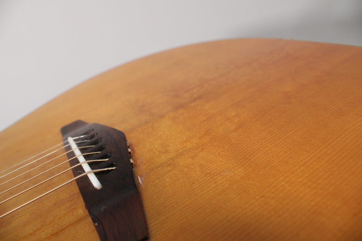 Close-up of the light brown acoustic guitar's body, showing the dark wood bridge, white saddle, and six strings.
