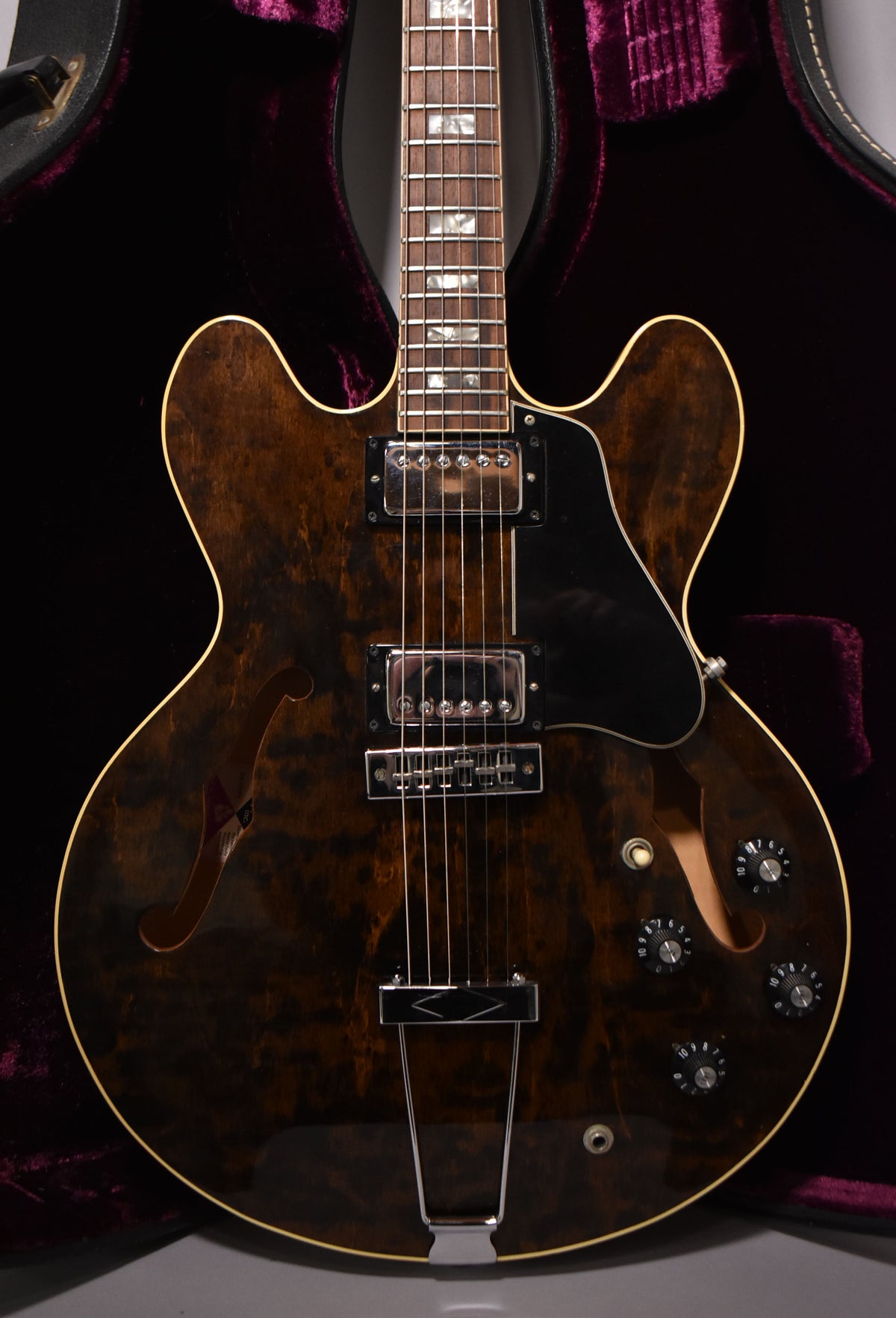 The guitar's dark walnut body, with f-holes and a black pickguard, is framed from the neck to the bottom bout, showing four control knobs.