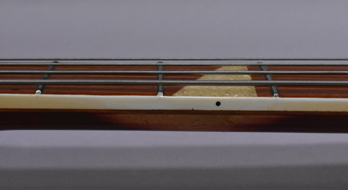 Close-up of the bass's dark wood fretboard, showing four strings, frets, and a cream binding with a small black dot marker.