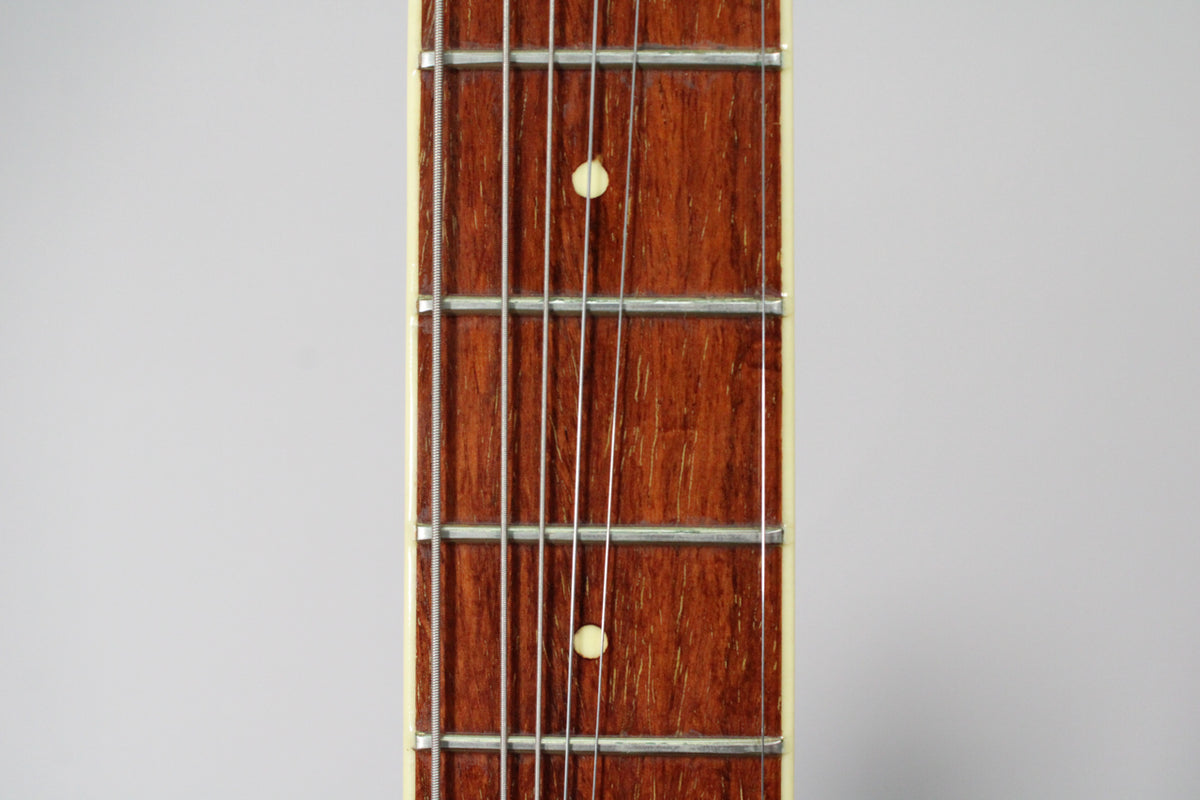 Close-up of the guitar's dark brown fretboard with six strings, metal frets, and two cream dot inlays.
