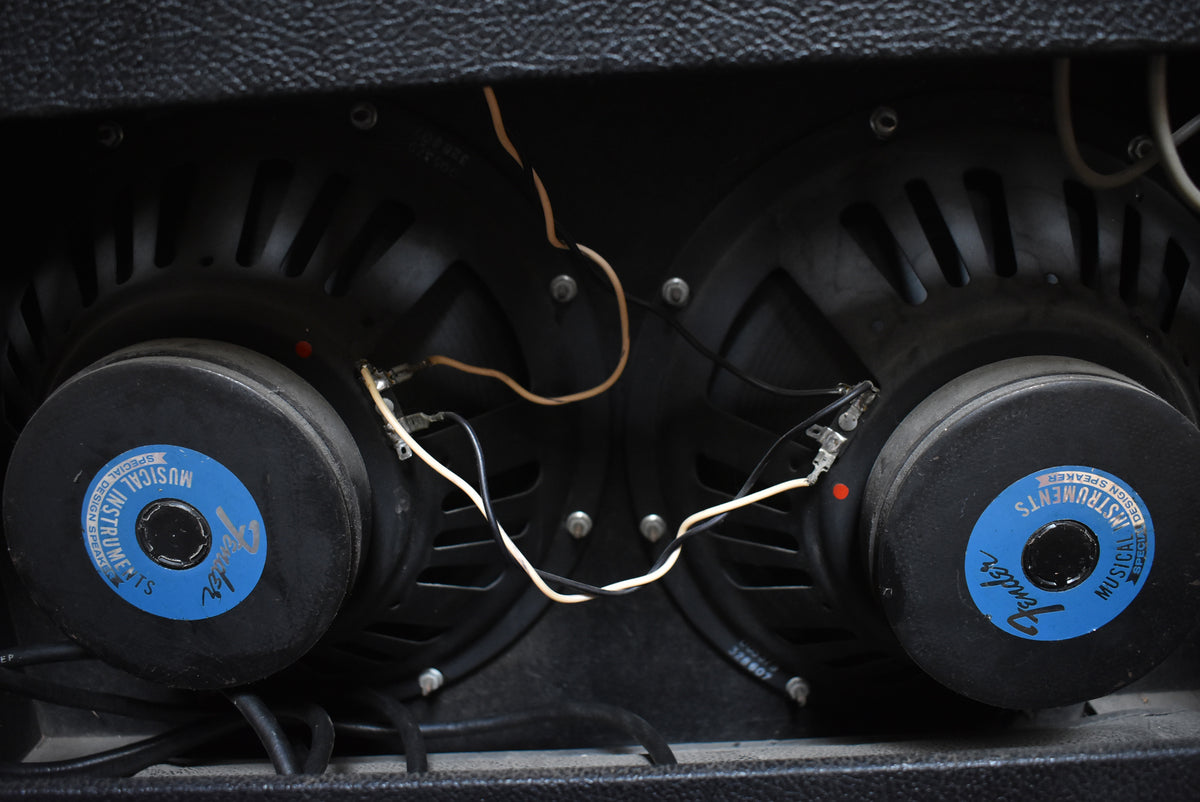 Close-up of the amplifier's two black speakers, showing their blue-labeled magnets, wiring, and some dust on the speaker frames.