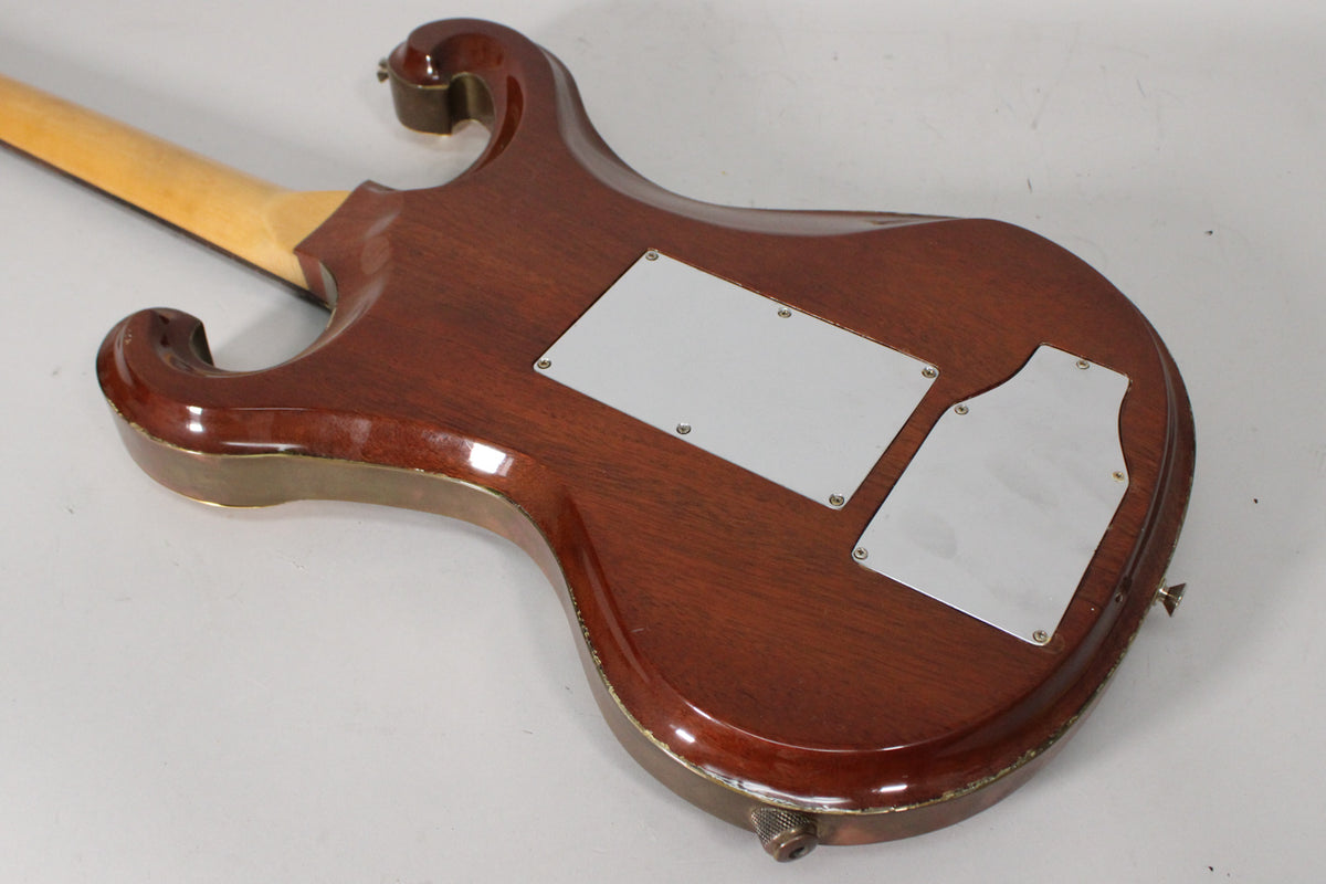 The guitar's dark brown body, with two silver control plates, shows finish wear and brass-colored binding along the edges.
