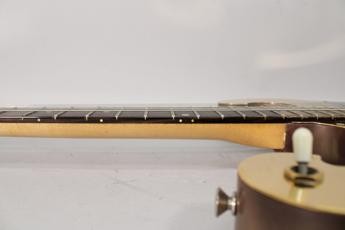 Side view of the guitar's neck, showing a dark fretboard with light dot inlays, a light-colored neck, and a cream switch tip.