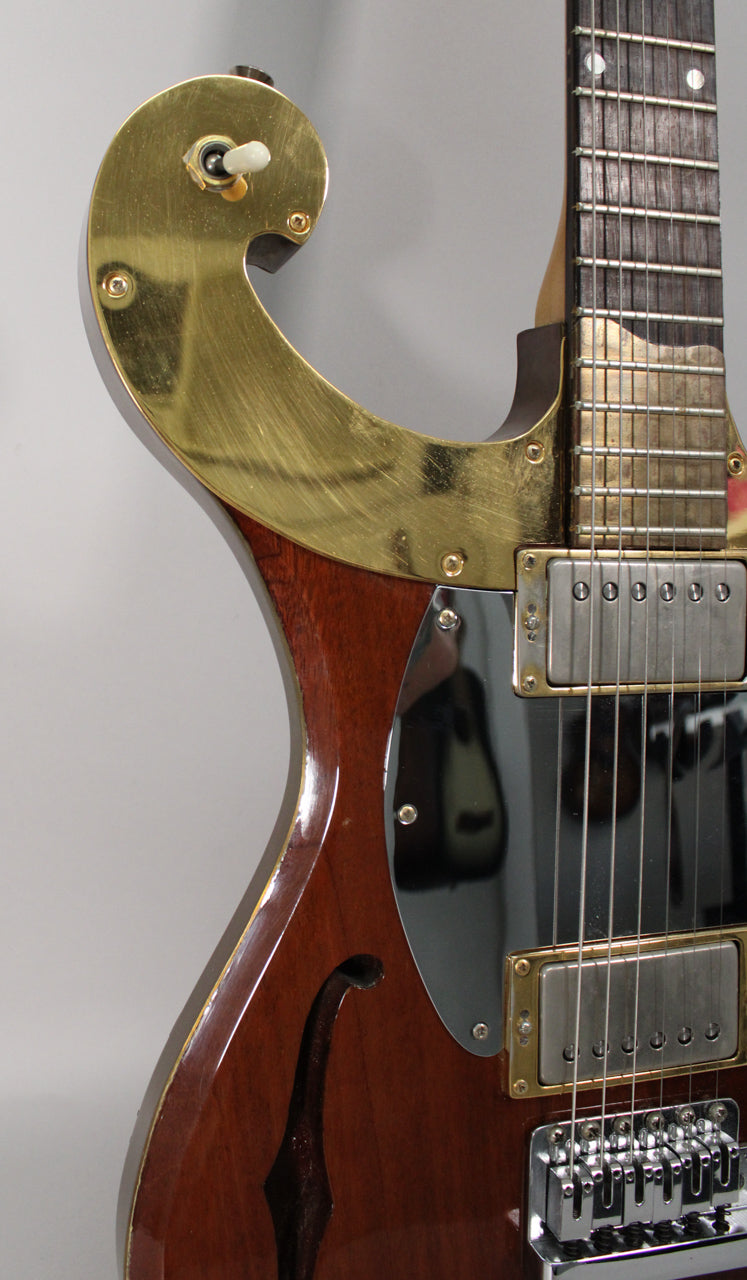 Close-up of the guitar's upper body, showing a brass pickguard, dark wood finish, and a single f-hole.
