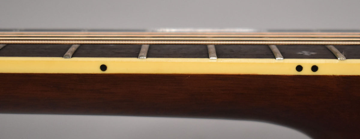 Close-up of the guitar's dark brown neck and fretboard, showing the side dots, frets, and a single inlay on the fretboard.