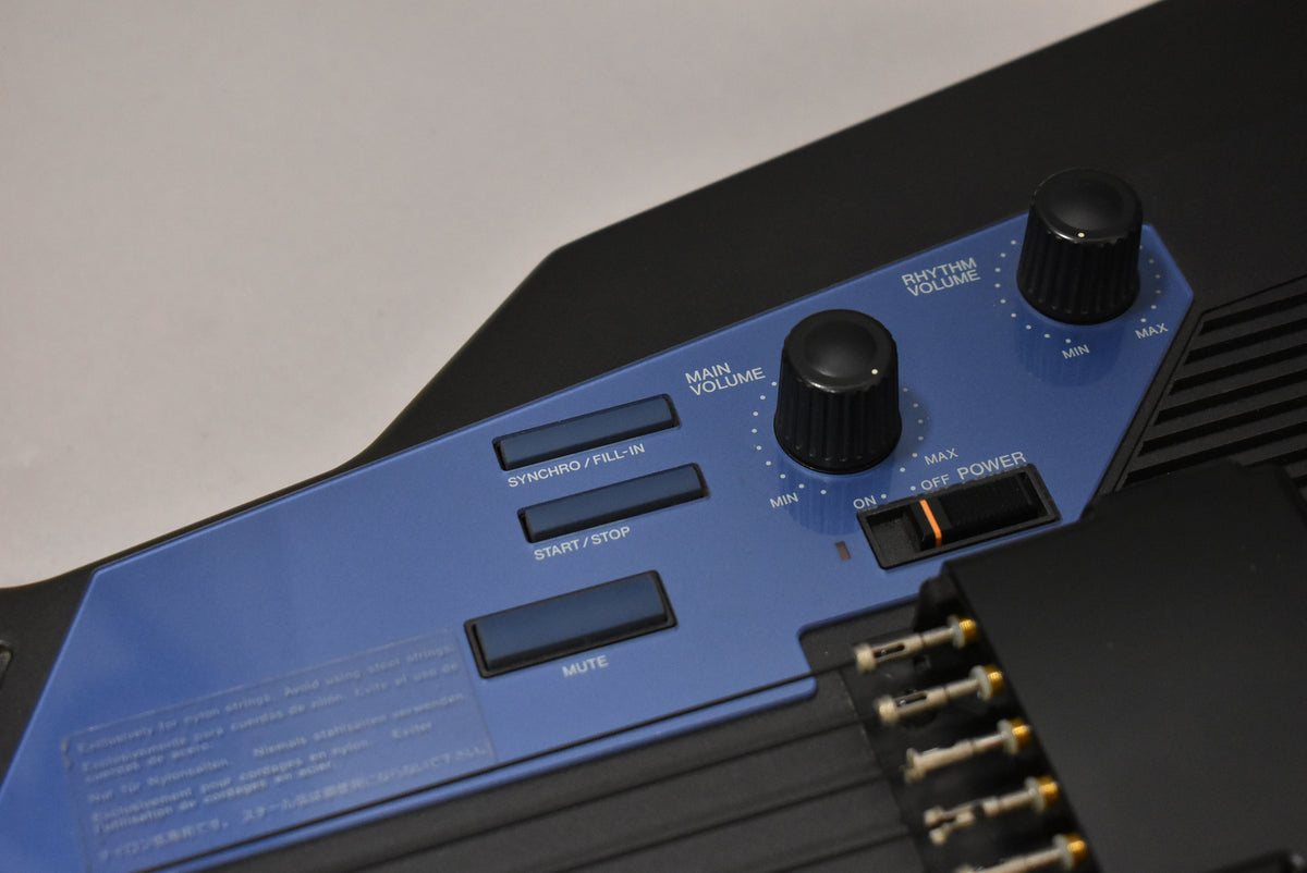1980's Casio DG-10 Digital Guitar w/Gig Bag
