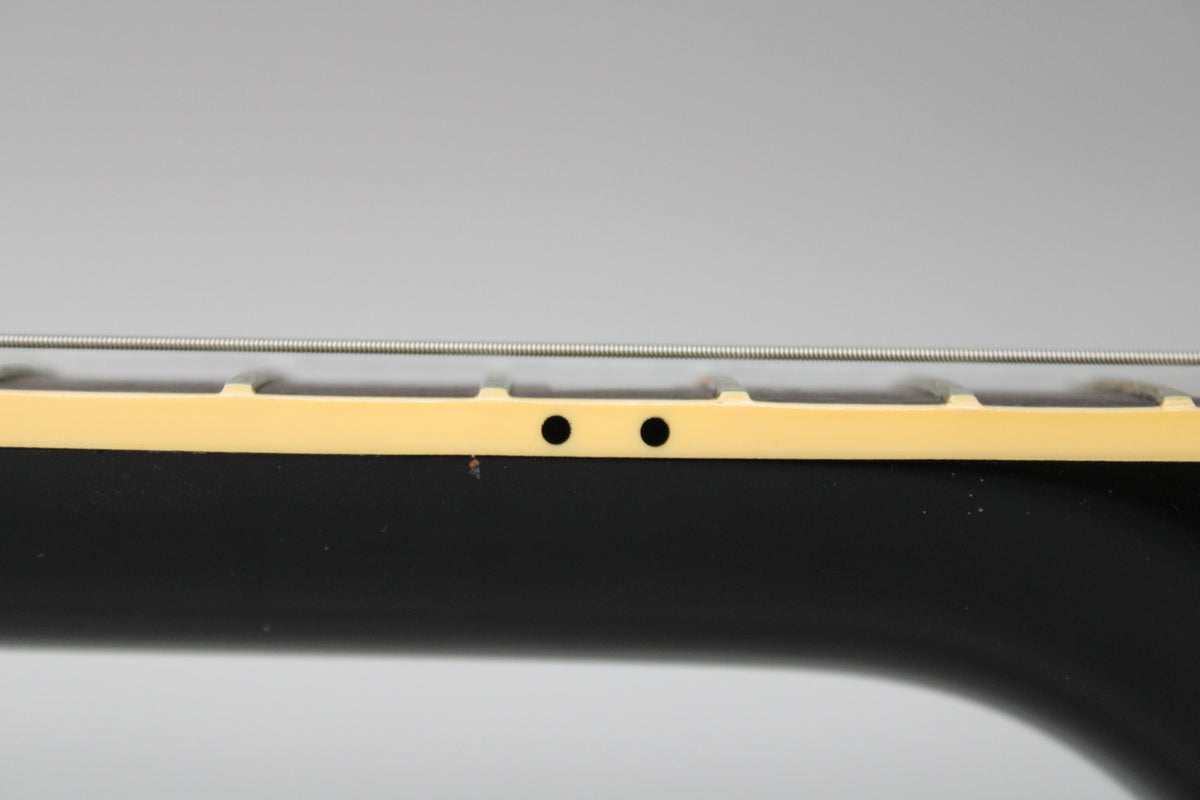 Close-up of the guitar's ebony fretboard binding and frets, showing two black side dot markers and light wear on the binding.
