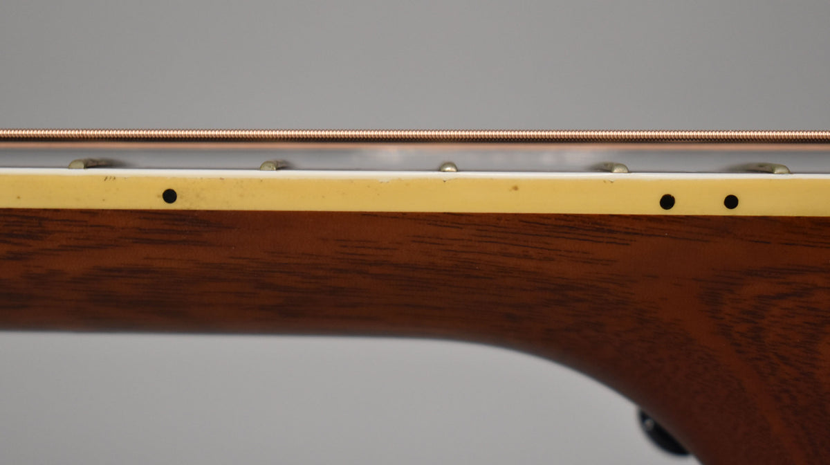 Close-up of the guitar's neck, showing the dark wood grain, cream binding with black side dots, and copper strings over silver frets.