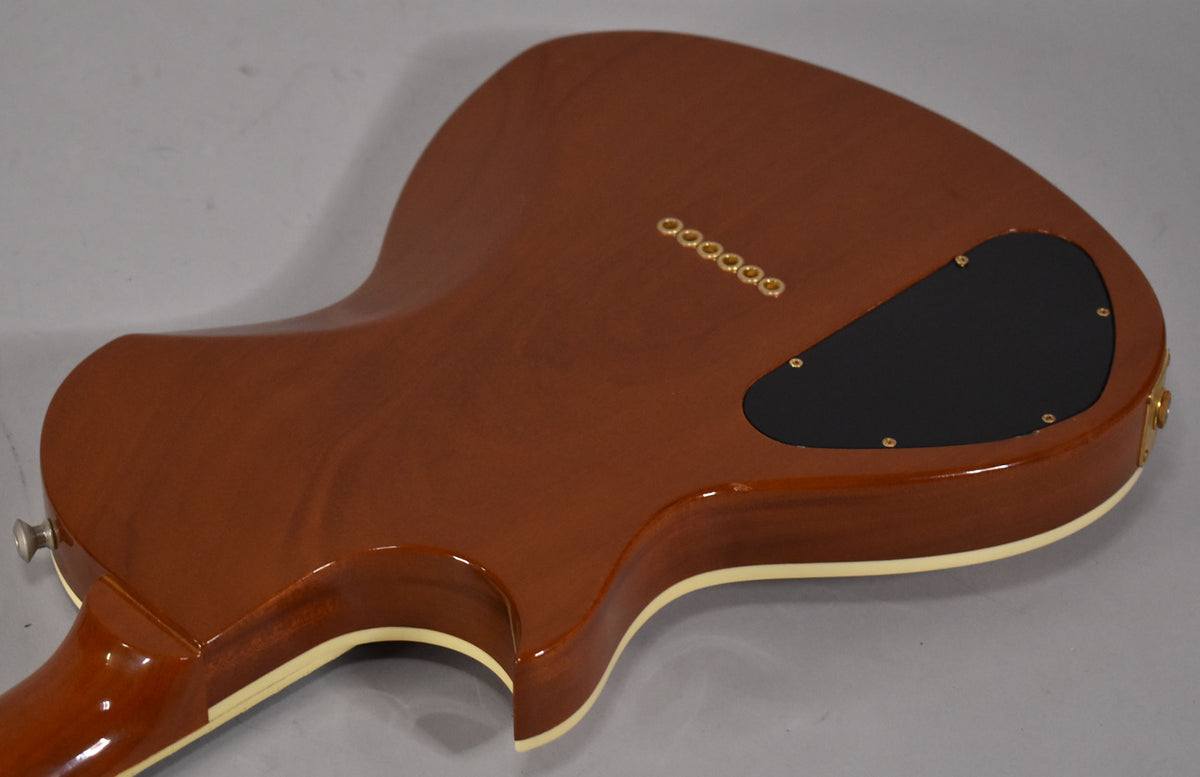 The guitar's transparent amber back shows wood grain, a black control plate, and six gold string ferrules.
