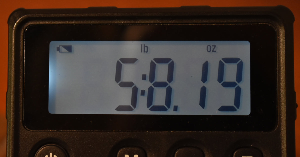 A digital scale display shows "5.8.19" in lb and oz, with a low battery icon.