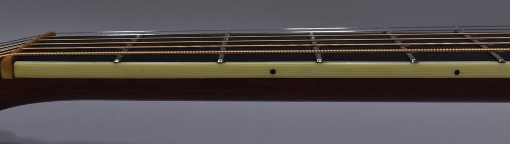1999 Larrivée D-03 Rosewood w/OHSC
