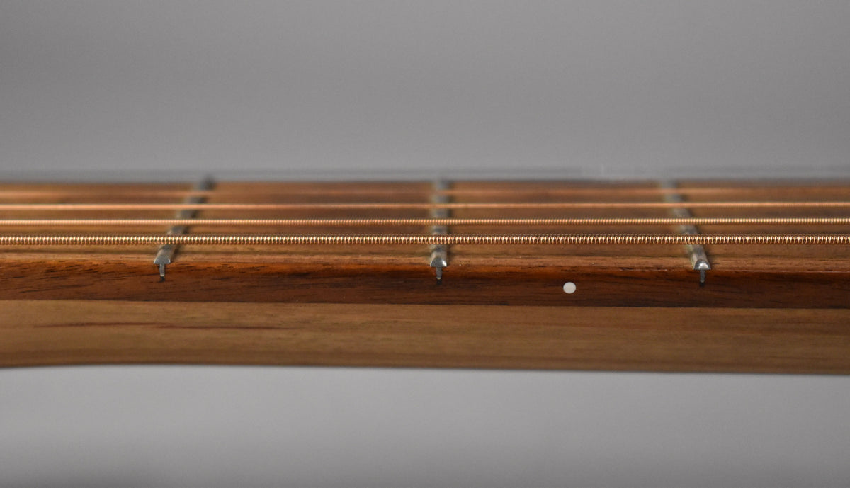 Close-up of the guitar's dark brown fretboard with bronze strings, showing a white dot inlay on the side of the neck.