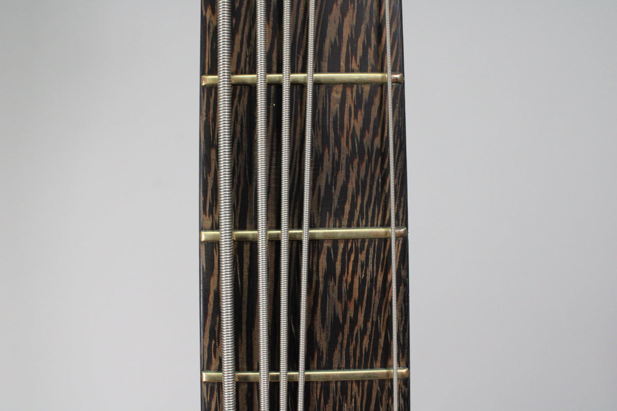 Close-up of the dark, striped wood fretboard with five silver strings and two brass-colored frets.
