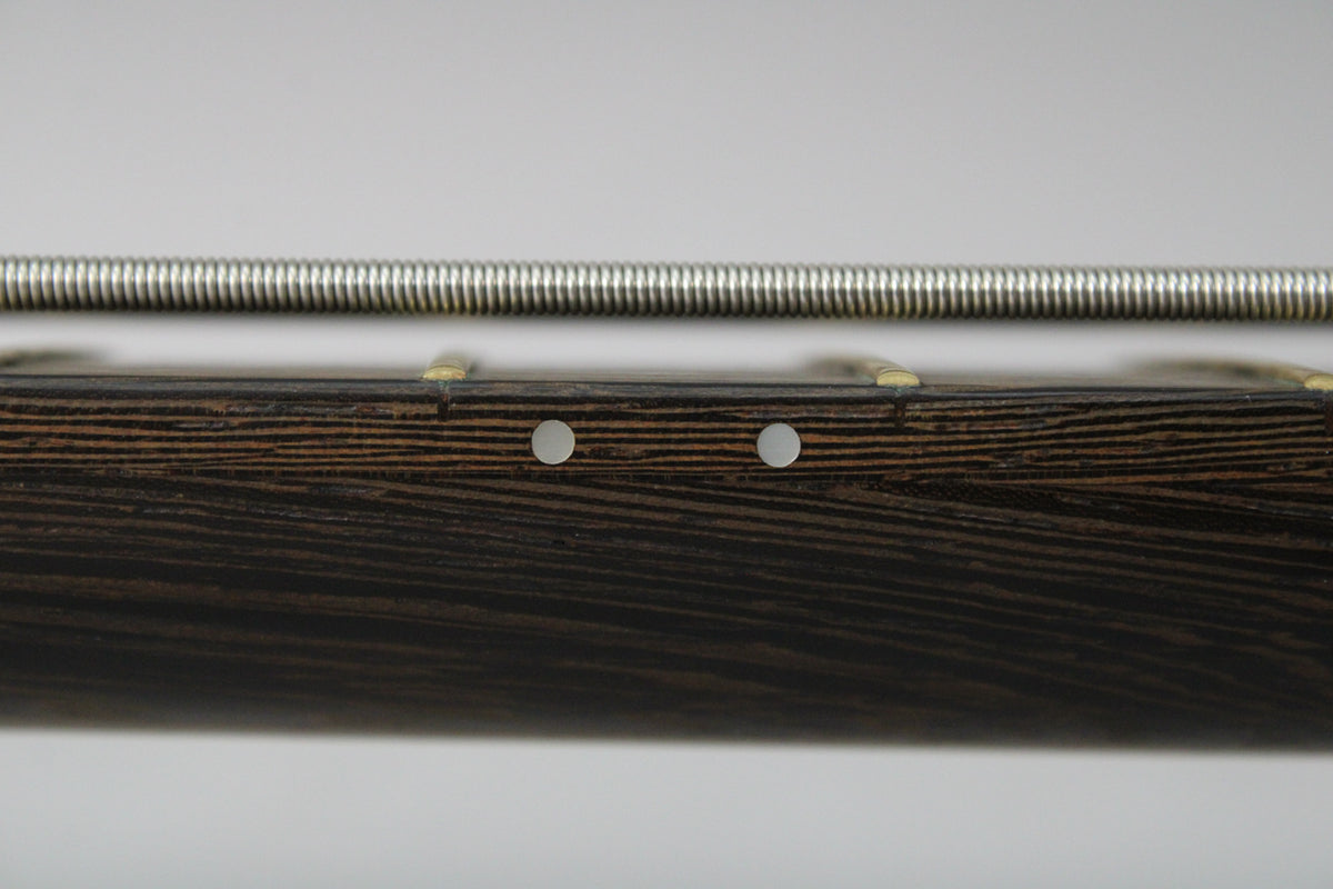 Close-up of the bass's dark wood fretboard with prominent grain, showing two round white side dots and a single wound string above.