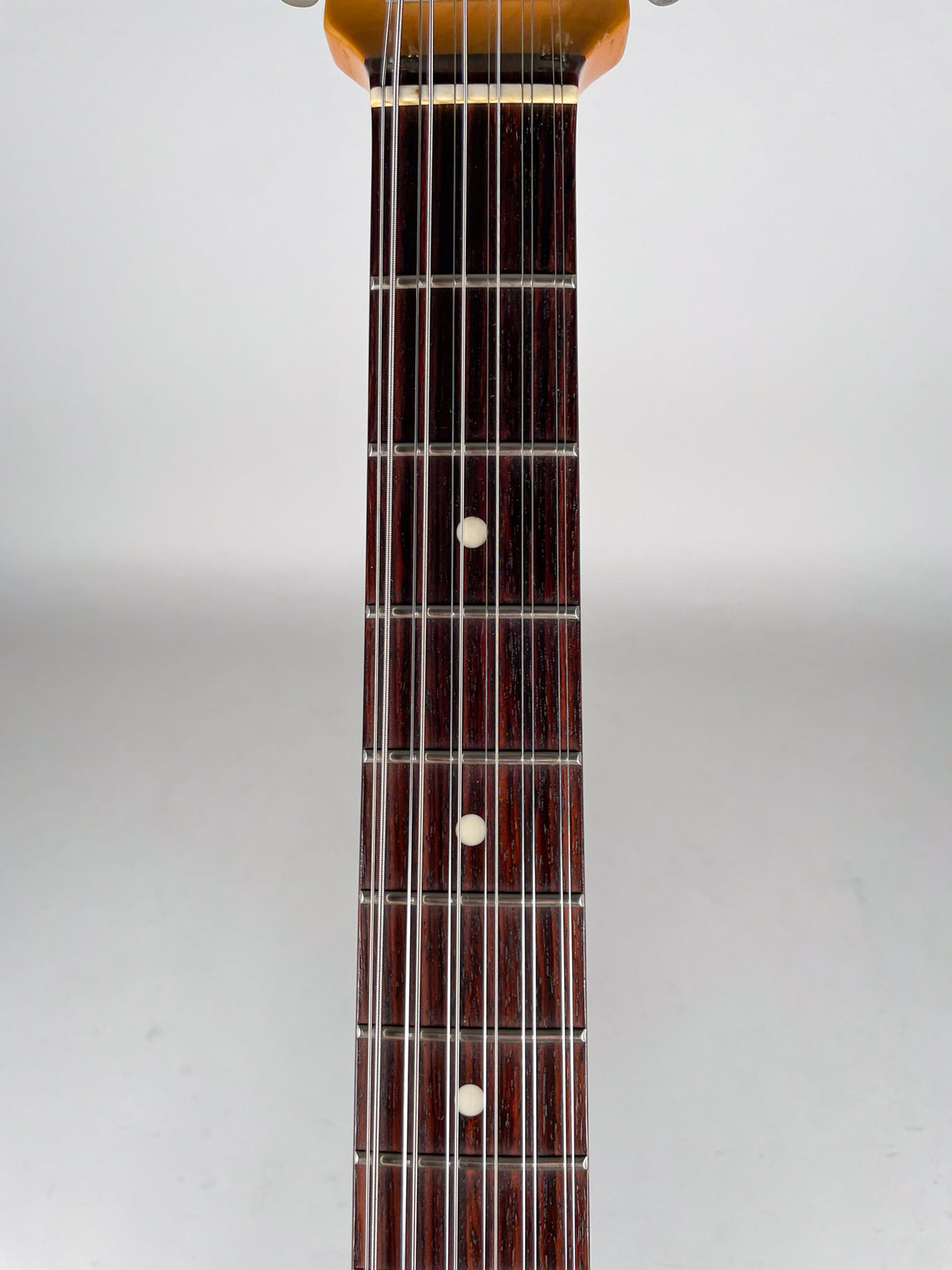 The 12-string guitar's dark rosewood fretboard with white dot inlays is centered, showing 12 frets and 24 strings.
