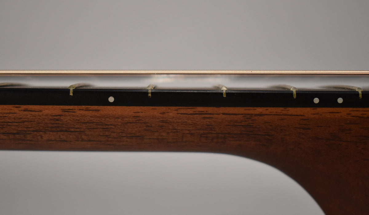 Close-up of the guitar's dark brown neck and black fretboard, showing three frets with light wear and two white dot inlays.