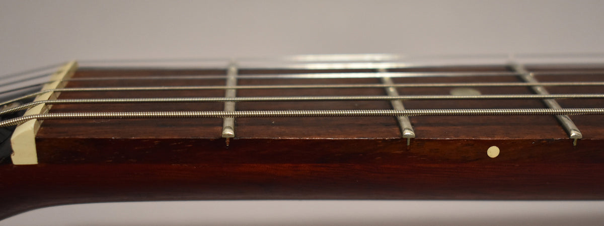 Close-up of the dark rosewood fretboard and frets, showing a cream nut and side dot markers.