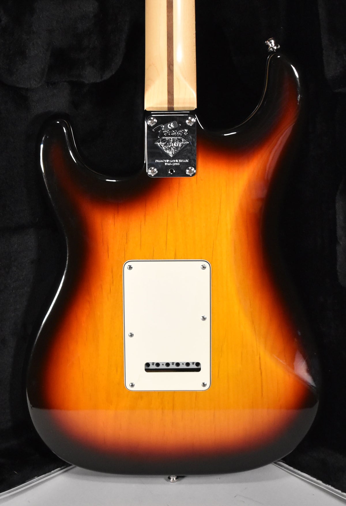 The guitar's sunburst back shows a white tremolo cover, chrome neck plate, and a light maple neck with a dark stripe.