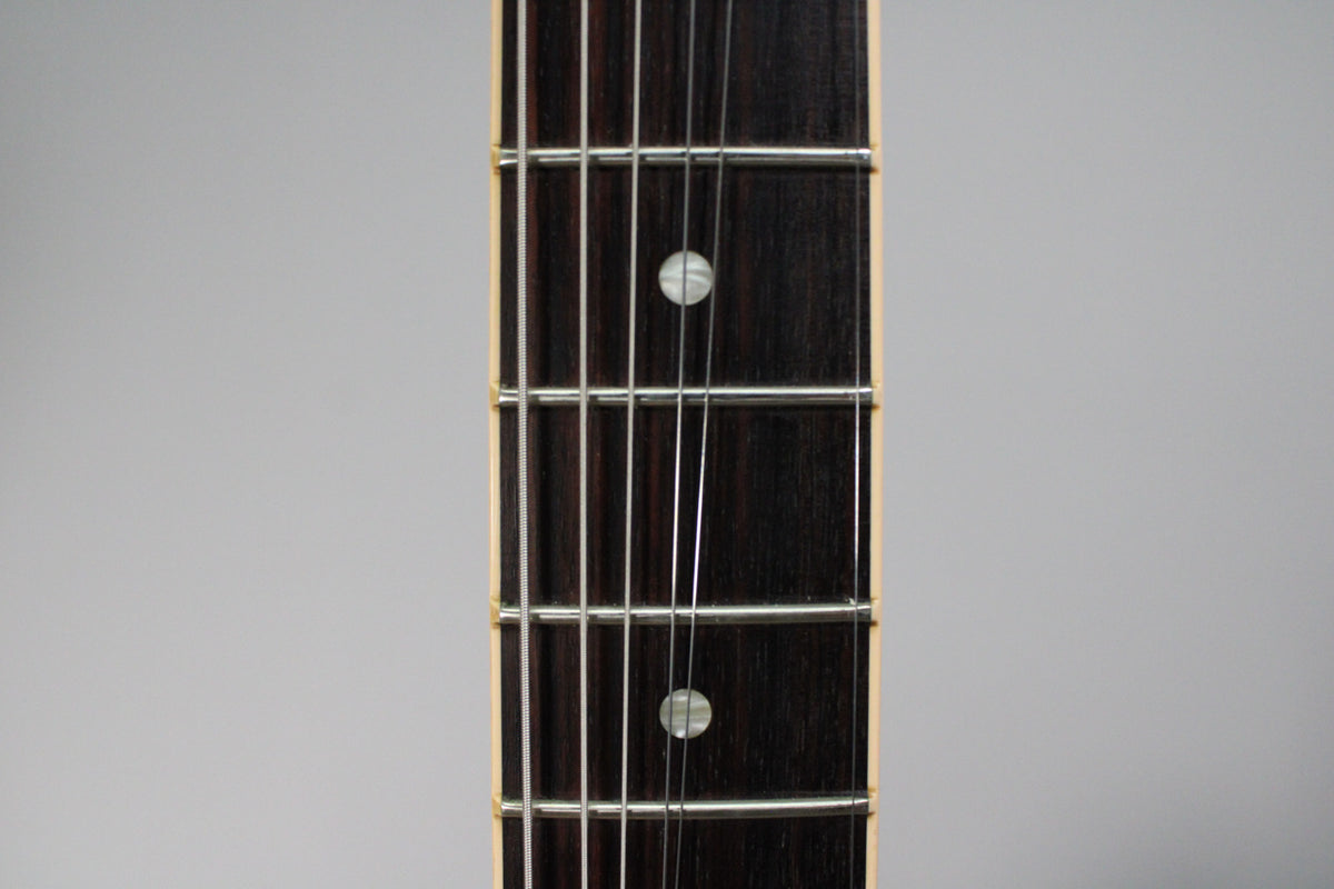 Close-up of the dark rosewood fretboard with white dot inlays and nickel frets, showing light wear on the strings.
