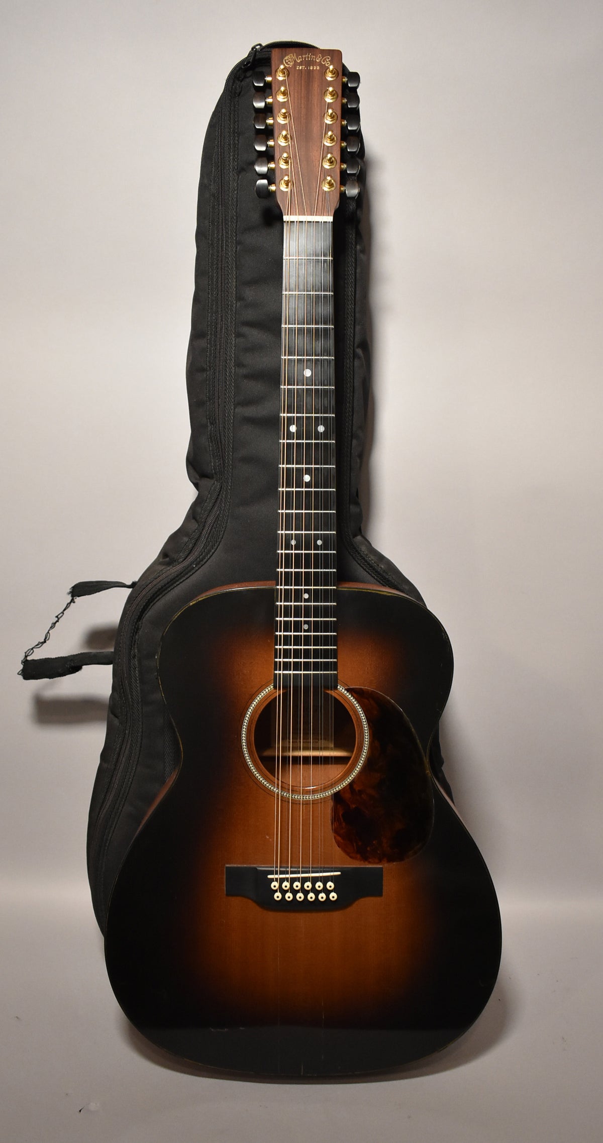 Full-length, front view of a sunburst 12-string acoustic guitar with a dark pickguard, standing upright in a black gig bag.