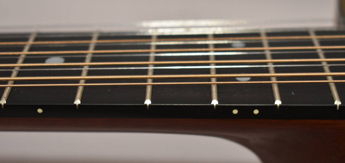Close-up of the dark fretboard and frets, showing 12 bronze and silver strings, with white dot inlays on the fretboard and side.