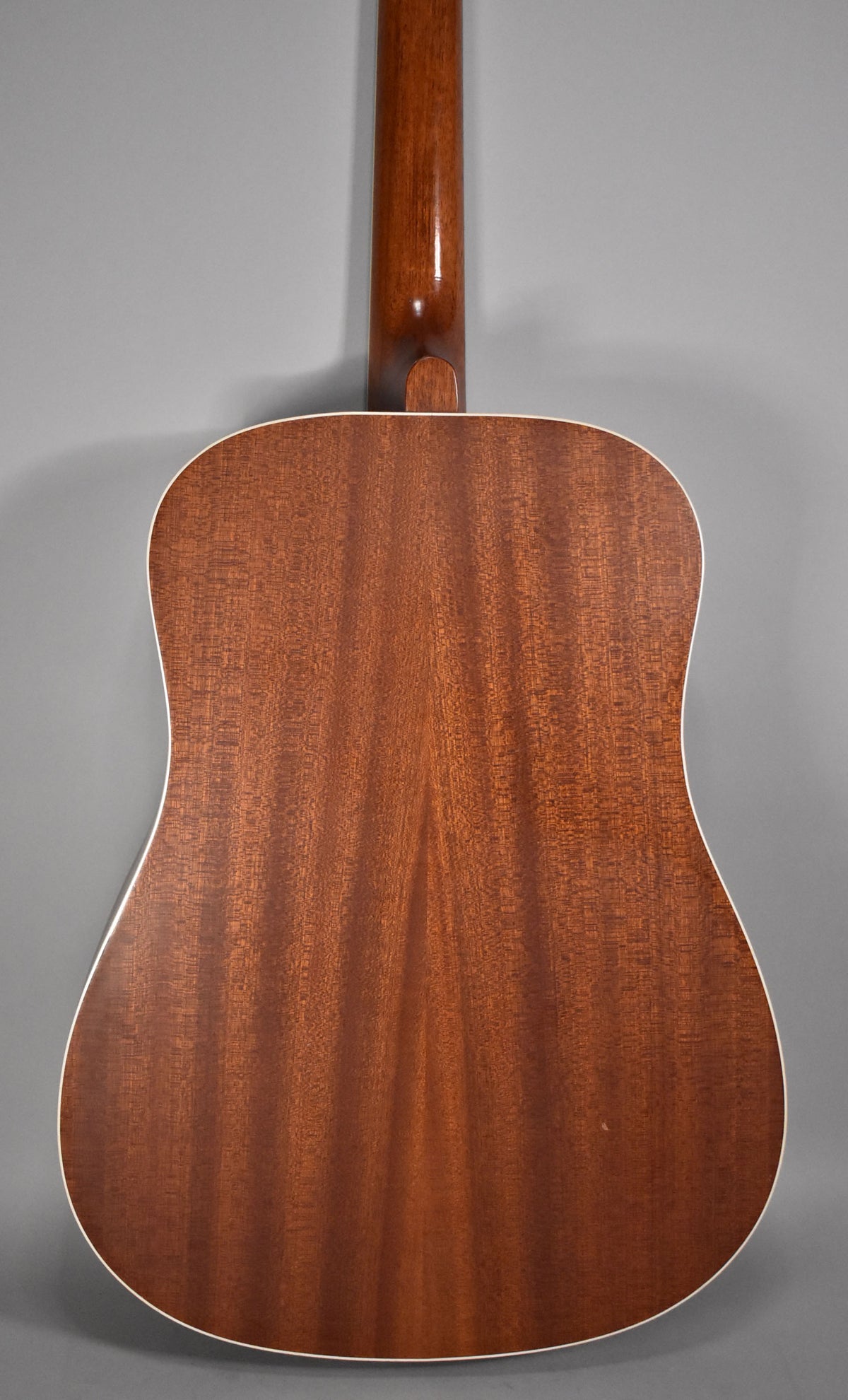 The back of the natural finish dreadnought acoustic guitar, showing the mahogany body with white binding and a glossy neck heel.