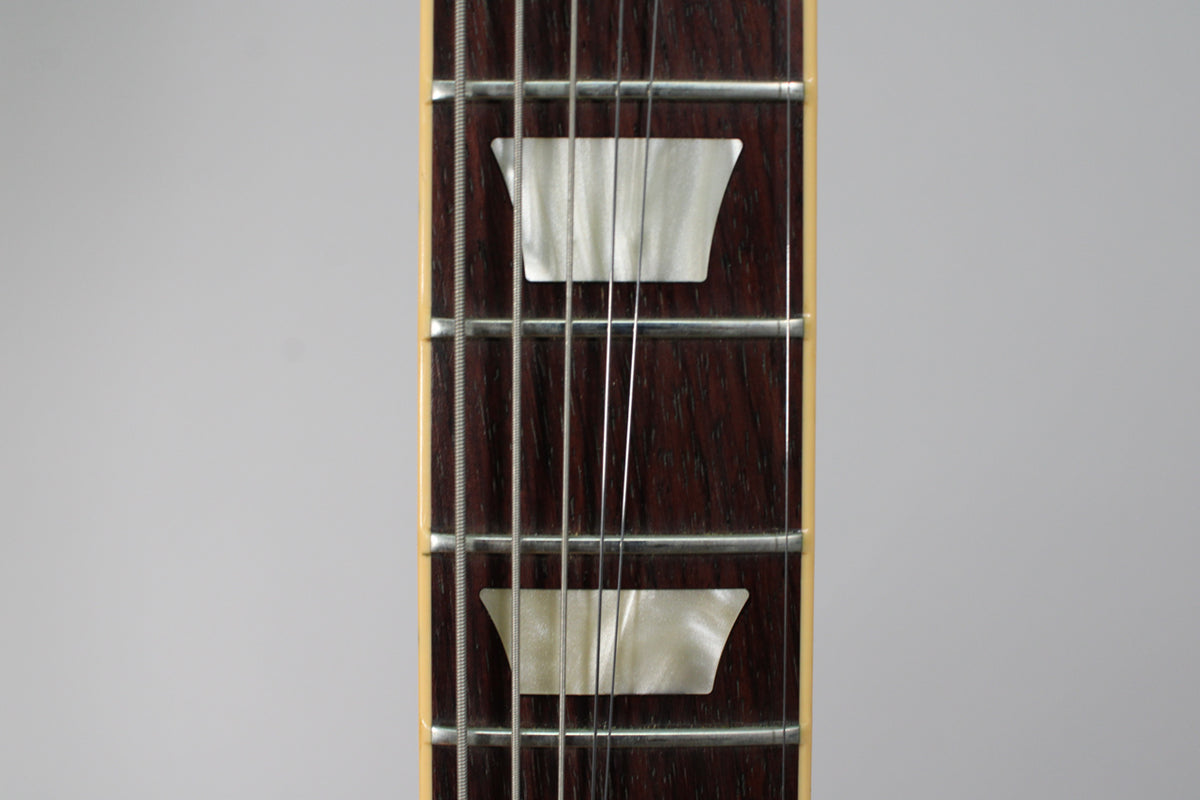 Close-up of the dark rosewood fretboard with two trapezoid mother-of-pearl inlays, silver frets, and six strings.