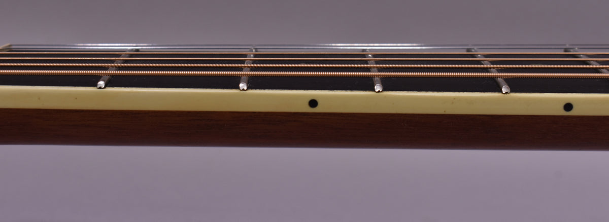 Close-up of the guitar's dark brown fretboard and neck, showing cream binding with black dot markers and copper strings.