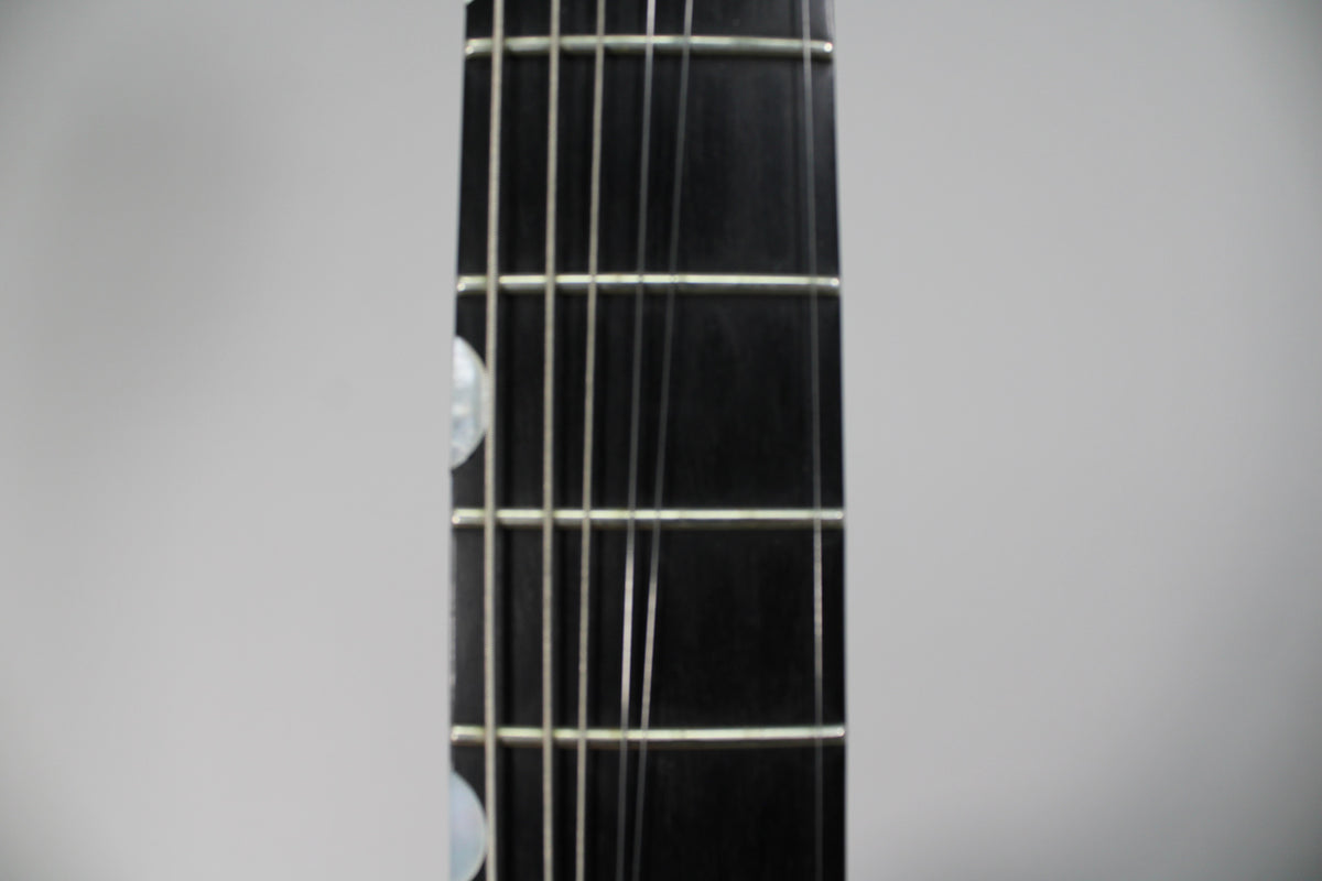 Close-up of the dark fretboard with silver frets and strings, showing two round mother-of-pearl inlays on the bass side.