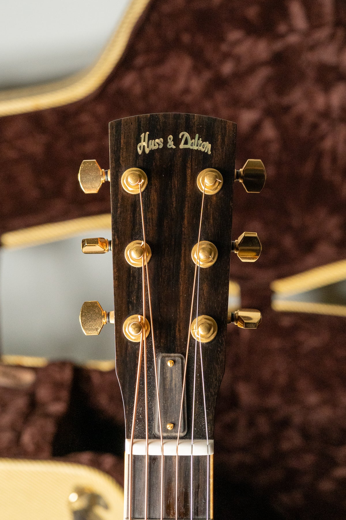 The dark wood headstock, with gold tuners and a gold logo, is centered against a blurred brown guitar case.