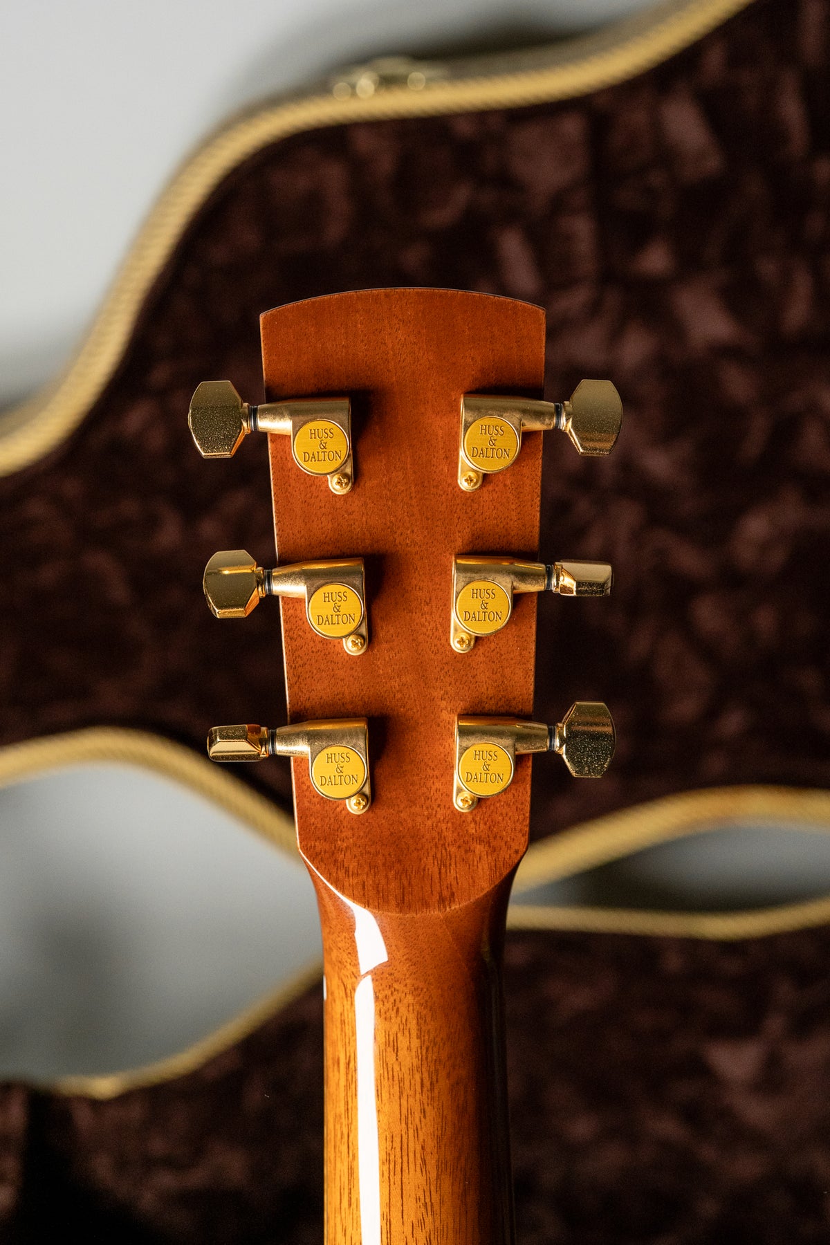 The guitar's glossy mahogany headstock and neck are seen from behind, with six gold tuners and a brown velvet case in the background.