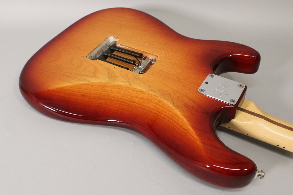 The guitar's back shows a Sienna Burst finish, with a tremolo spring cavity and a four-bolt neck plate with visible wear.