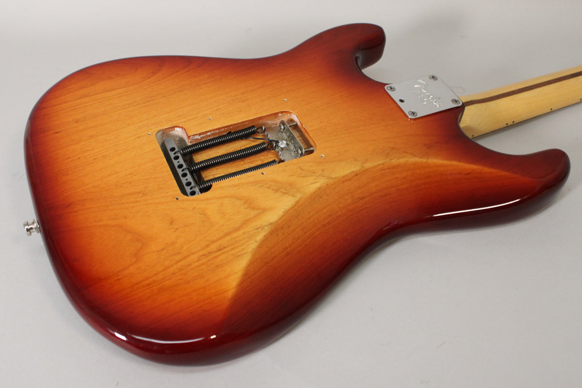 The back of the Sienna Burst Stratocaster shows the tremolo spring cavity, neck plate, and a light-colored maple neck.