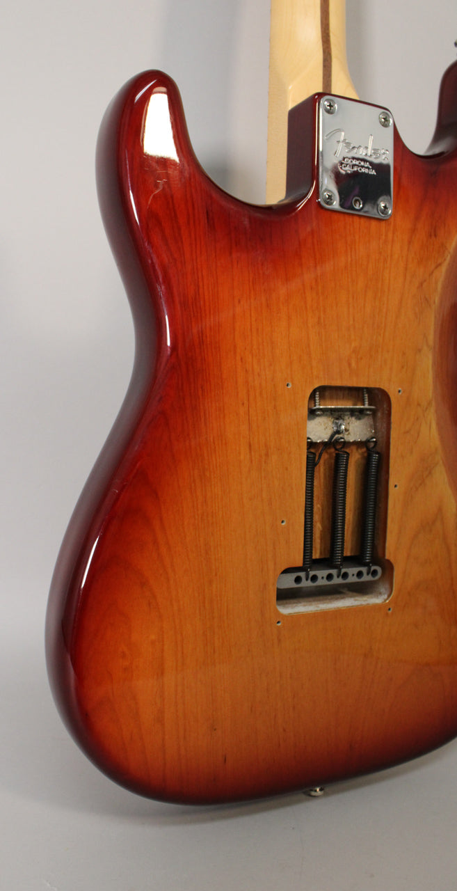 The guitar's Sienna Burst back shows a chrome neck plate, a tremolo spring cavity with three springs, and light wear on the upper horn.