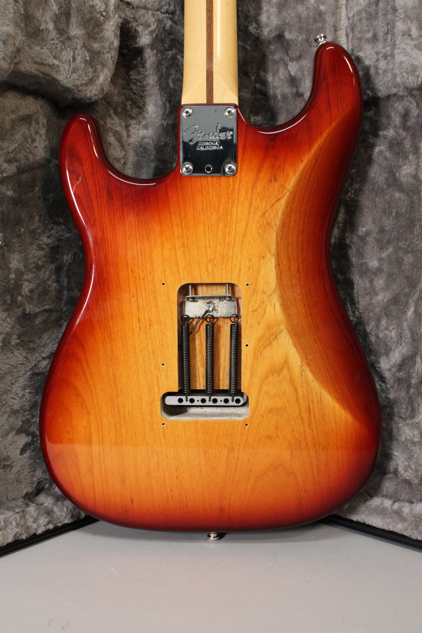 The guitar's Sienna Burst back shows a tremolo spring cavity with three springs, a chrome neck plate, and a light scratch near the upper horn.