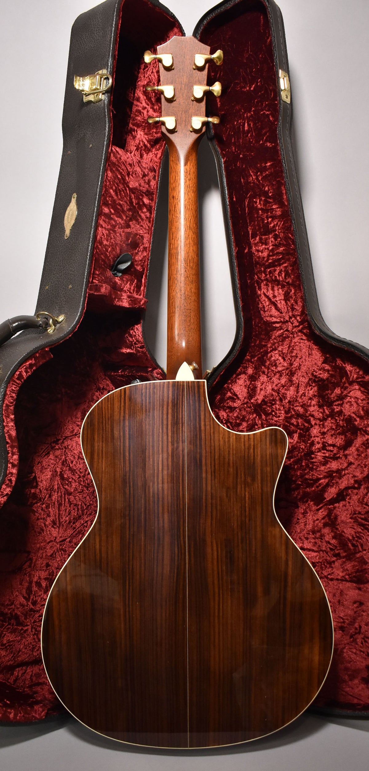 The guitar's dark wood back and neck are visible, with gold tuners on the headstock, resting in a dark brown case with red velvet lining.