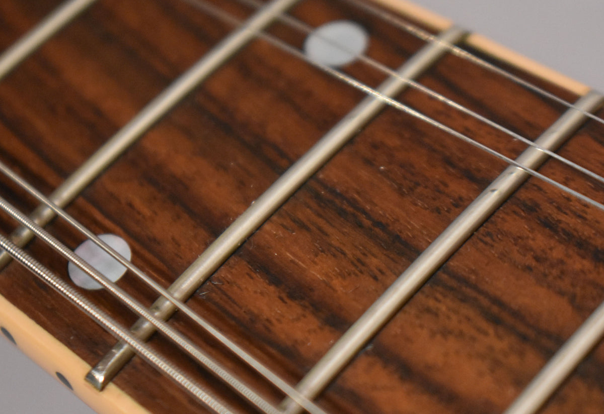 Close-up of a guitar fretboard with dark wood grain, frets, and strings, showing two circular mother-of-pearl inlays.