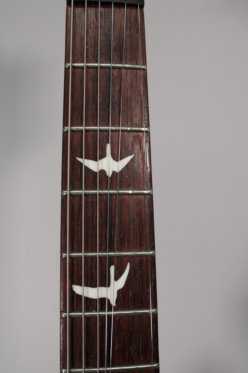 Close-up of the dark rosewood fretboard with two white bird inlays and silver frets, showing light wear on the lower frets.