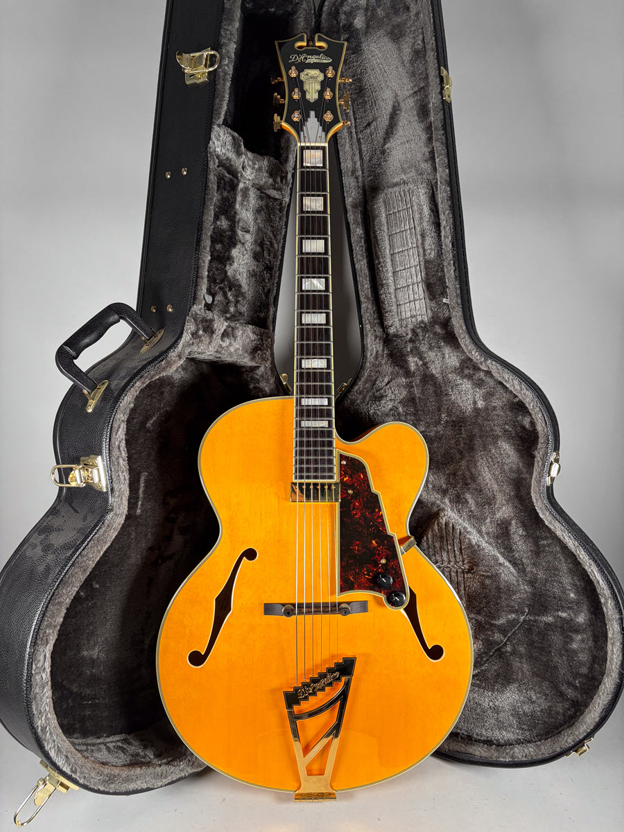 2014 D'Angelico EXL-1 Excel Archtop Electric Guitar w/OHSC